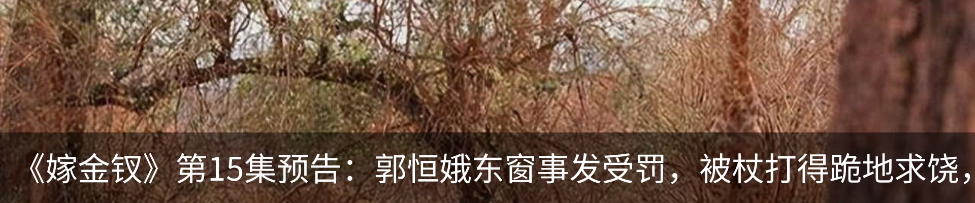 热点资讯