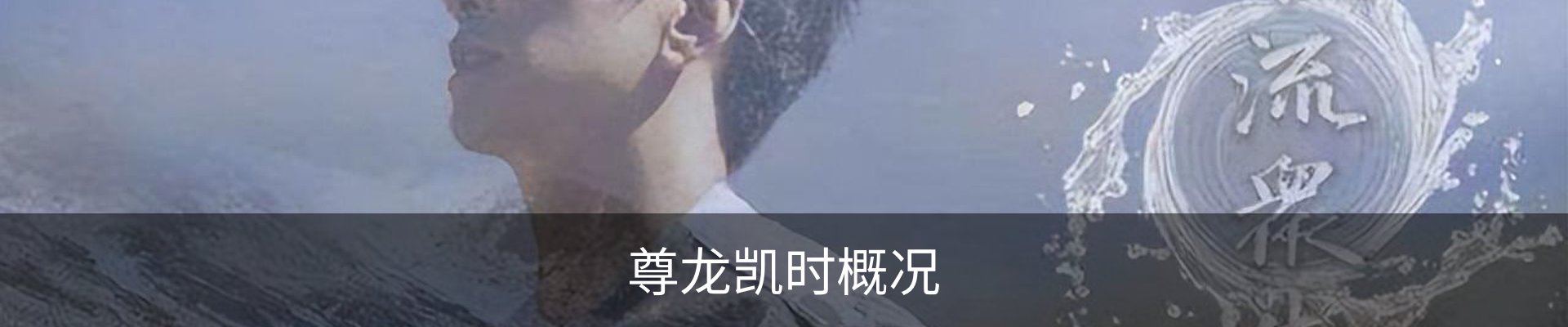 尊龙凯时概况